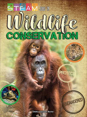 cover image of STEAM Jobs in Wildlife Conservation